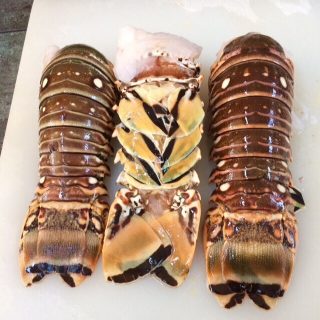 (20-24oz)Jumbo Lobster Tail